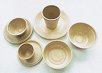 Biodegradable and disposable food packaging